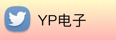 YP电子 Logo